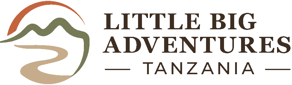 Little Big Adventures Tanzania